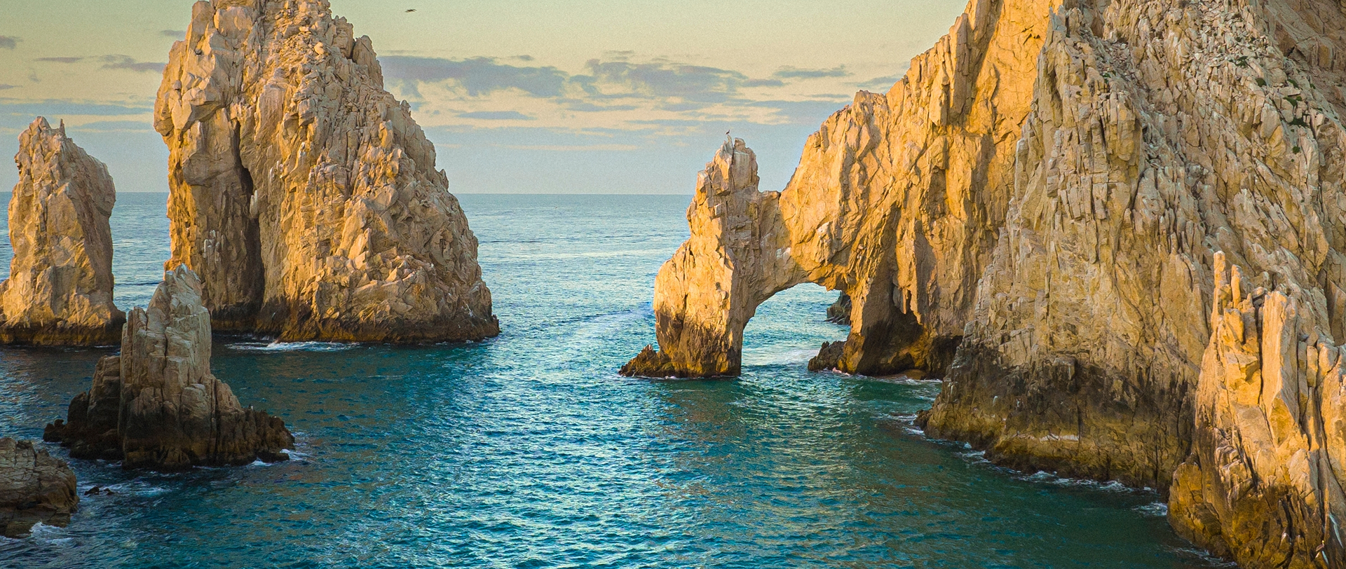 Playa paradisíaca de Los Cabos con palmeras y mar turquesa
