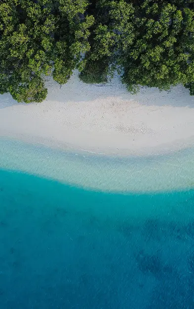 Playa de Cancún, arena fina